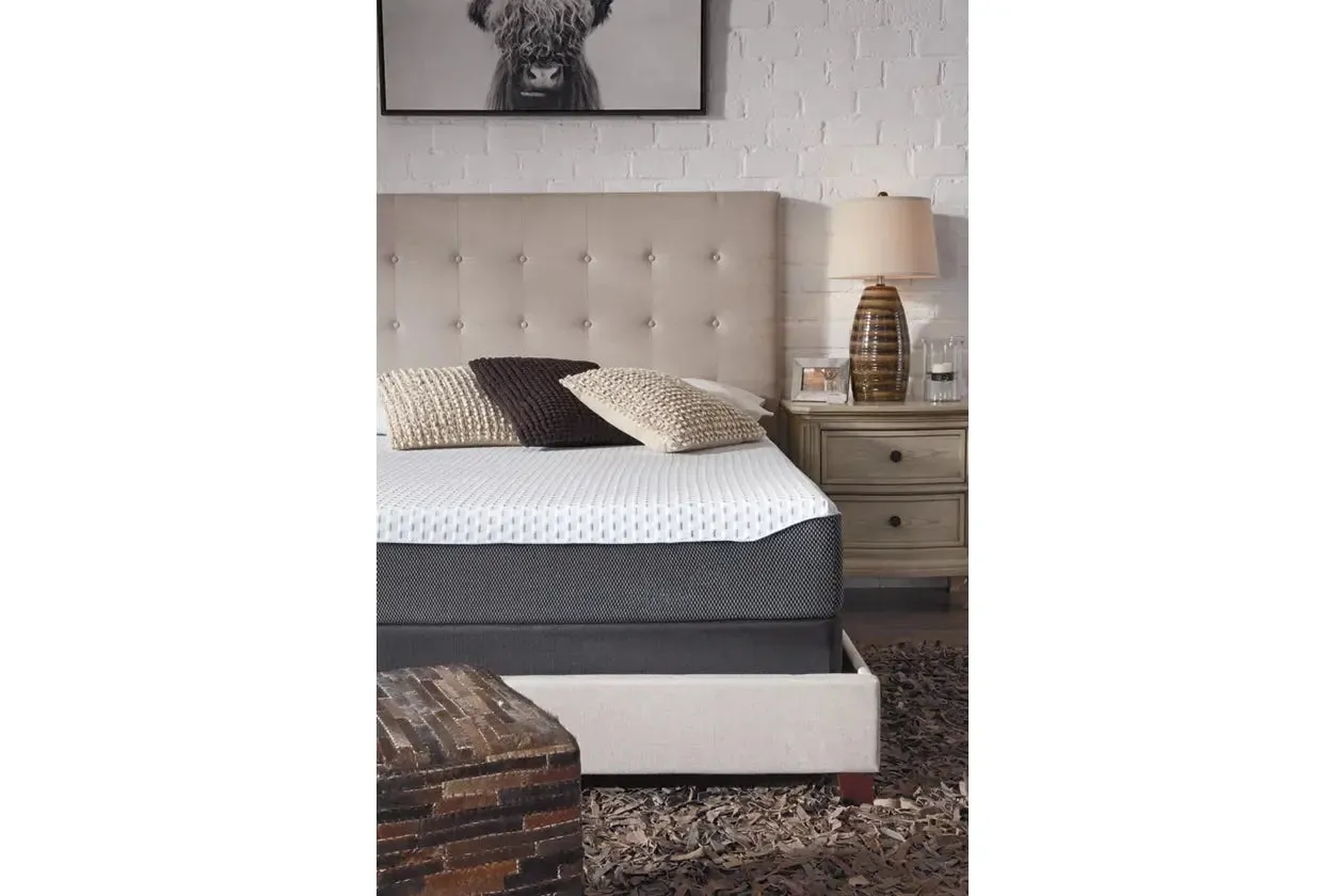 Ashley Sleep Gruve 10 Inch Firm Memory Foam Mattress